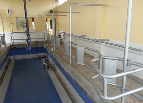 Milking Parlours At Reliable Dairy Equipments Flat Barn Milking